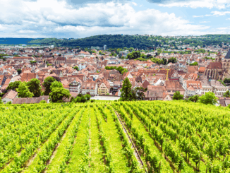 Verborgene Paradiese in Stuttgart: Diese geheimen Parks, Gärten und Ruheoasen kennen nur Einheimische Verborgene Paradiese in Stuttgart: Diese geheimen Parks, Gärten und Ruheoasen kennen nur Einheimische