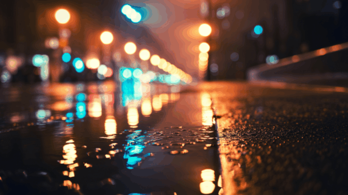 Nachtschwärmer (über Sergiu Rusu)