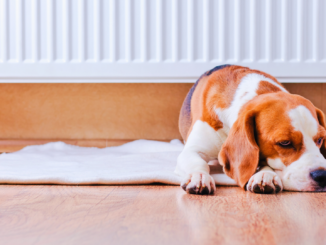 Baden-Württemberg heizt bundesweit am stärksten