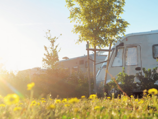 Schwarzwald beliebteste Campingregion für Auslandsgäste – Rekordwerte 2025 bundesweit