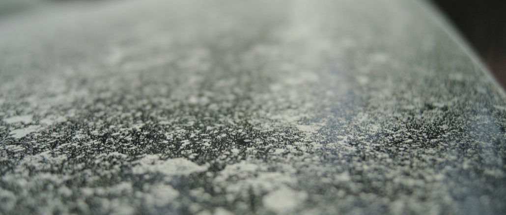 Frühjahrscheck fürs Auto: So schützt Du dich in der Pollensaison beim Fahren