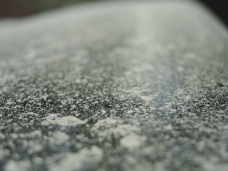 Frühjahrscheck fürs Auto: So schützt Du dich in der Pollensaison beim Fahren