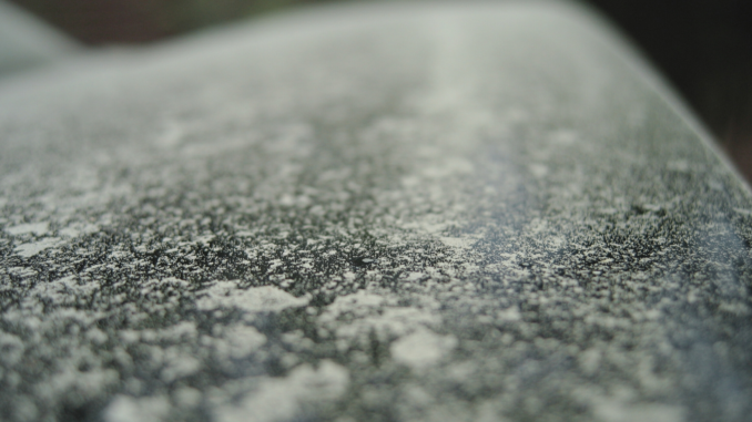 Frühjahrscheck fürs Auto: So schützt Du dich in der Pollensaison beim Fahren