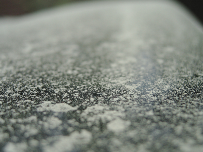 Frühjahrscheck fürs Auto: So schützt Du dich in der Pollensaison beim Fahren