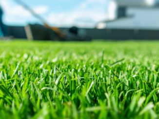 Frühjahrsstart im Garten: Warum zu frühes Vertikutieren den Rasen schwächt